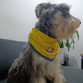 Pañoleta Colombia para Mascotas | Tallas Mediana y Grande