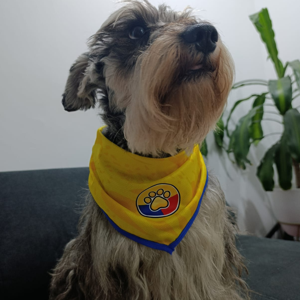 Pañoleta Colombia para Mascotas | Tallas Mediana y Grande