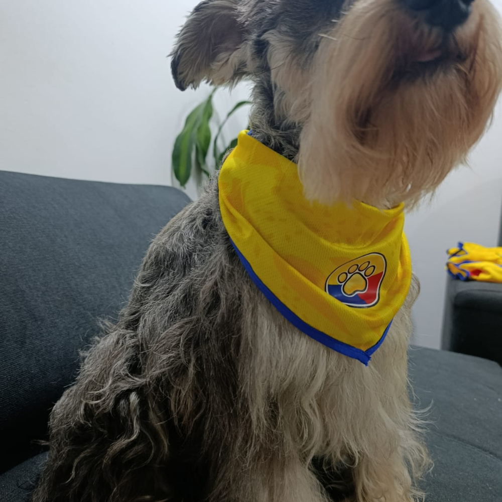 Pañoleta Colombia para Mascotas | Tallas Mediana y Grande