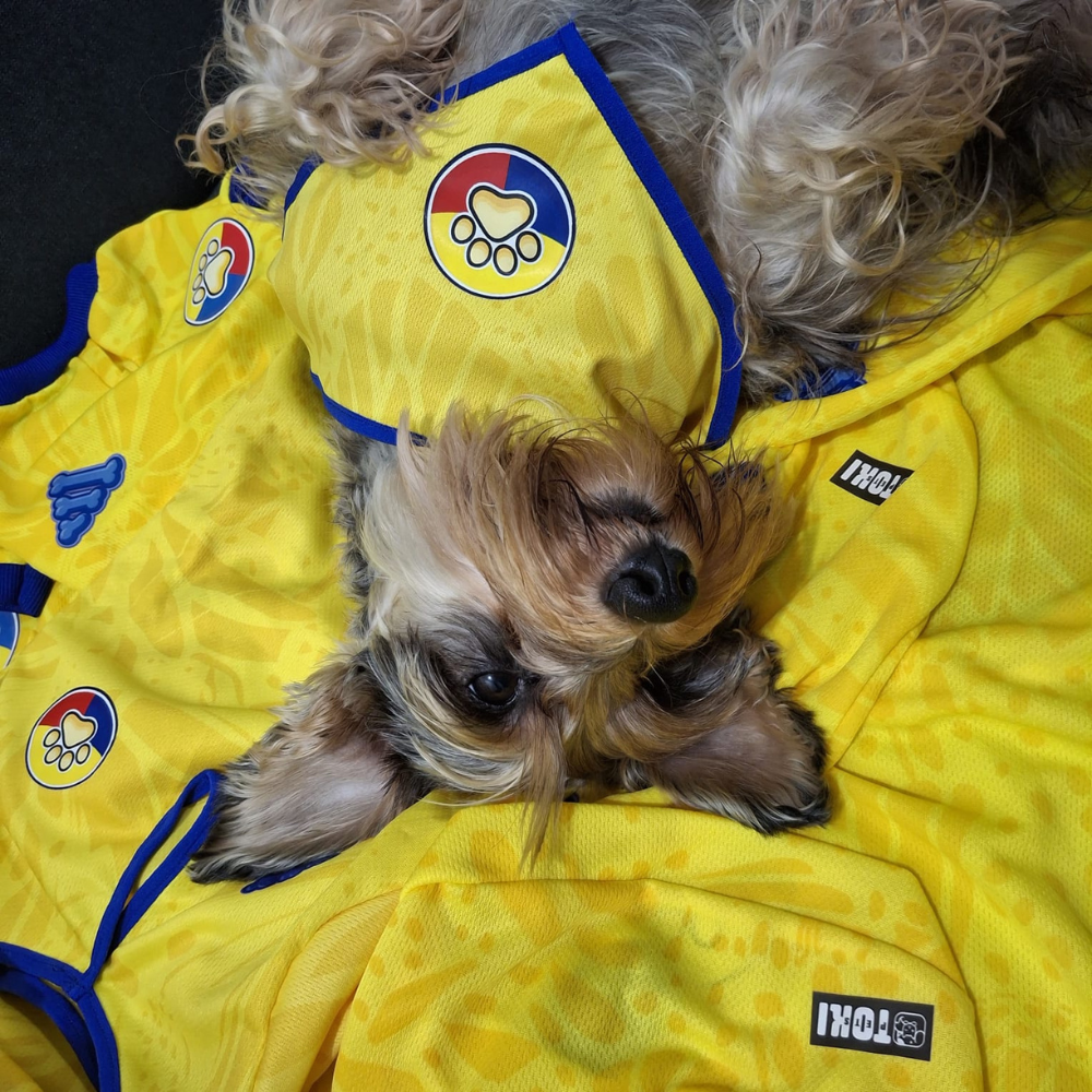 Pañoleta Colombia para Mascotas | Tallas Mediana y Grande