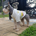 Camiseta Selección Colombia Centenario Perros Y Gatos Ropa Mascotas