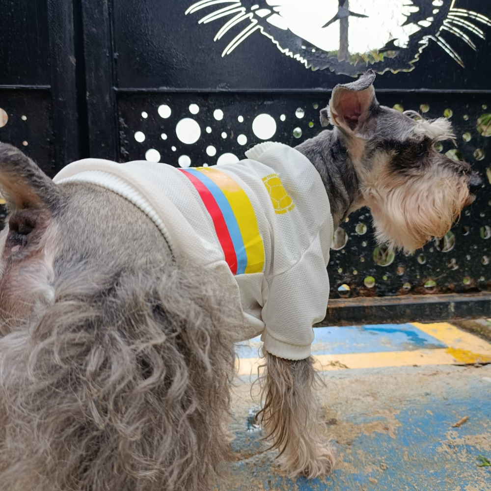 Camiseta Selección Colombia Centenario Perros Y Gatos Ropa Mascotas