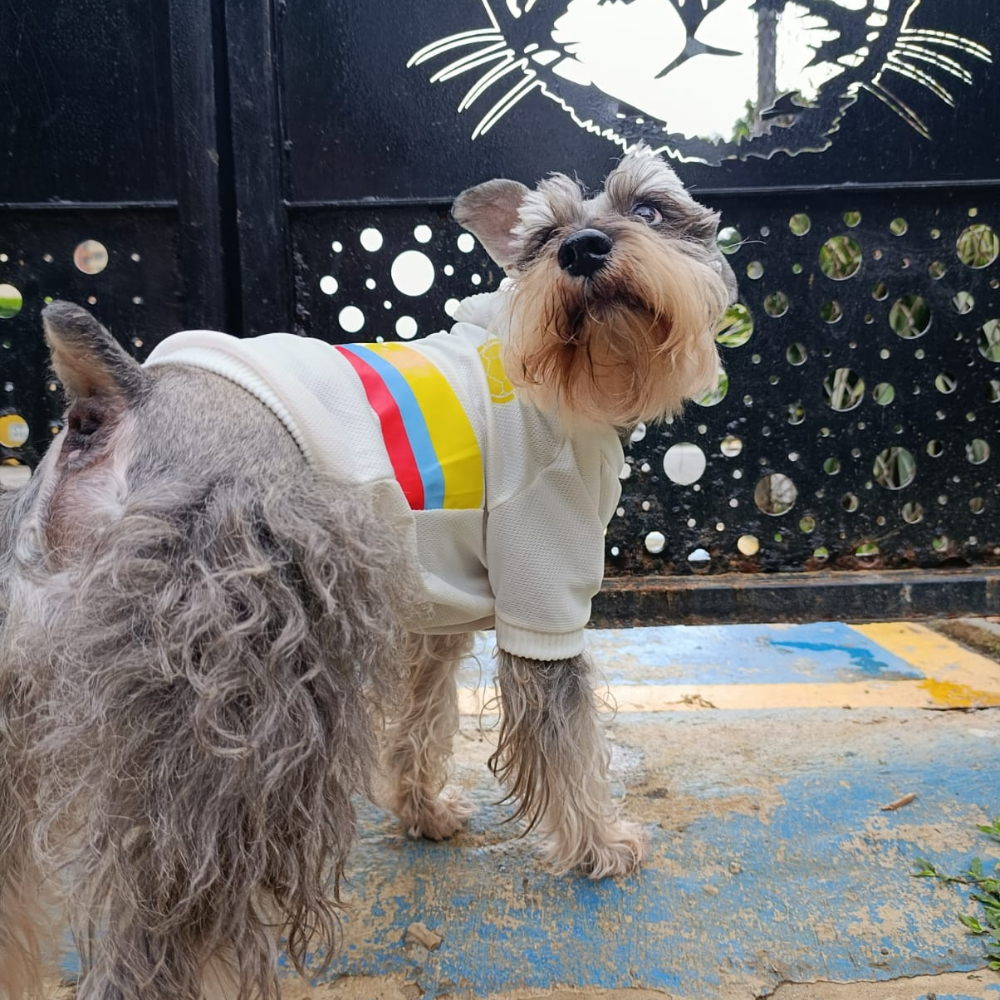 Camiseta Selección Colombia Centenario Perros Y Gatos Ropa Mascotas