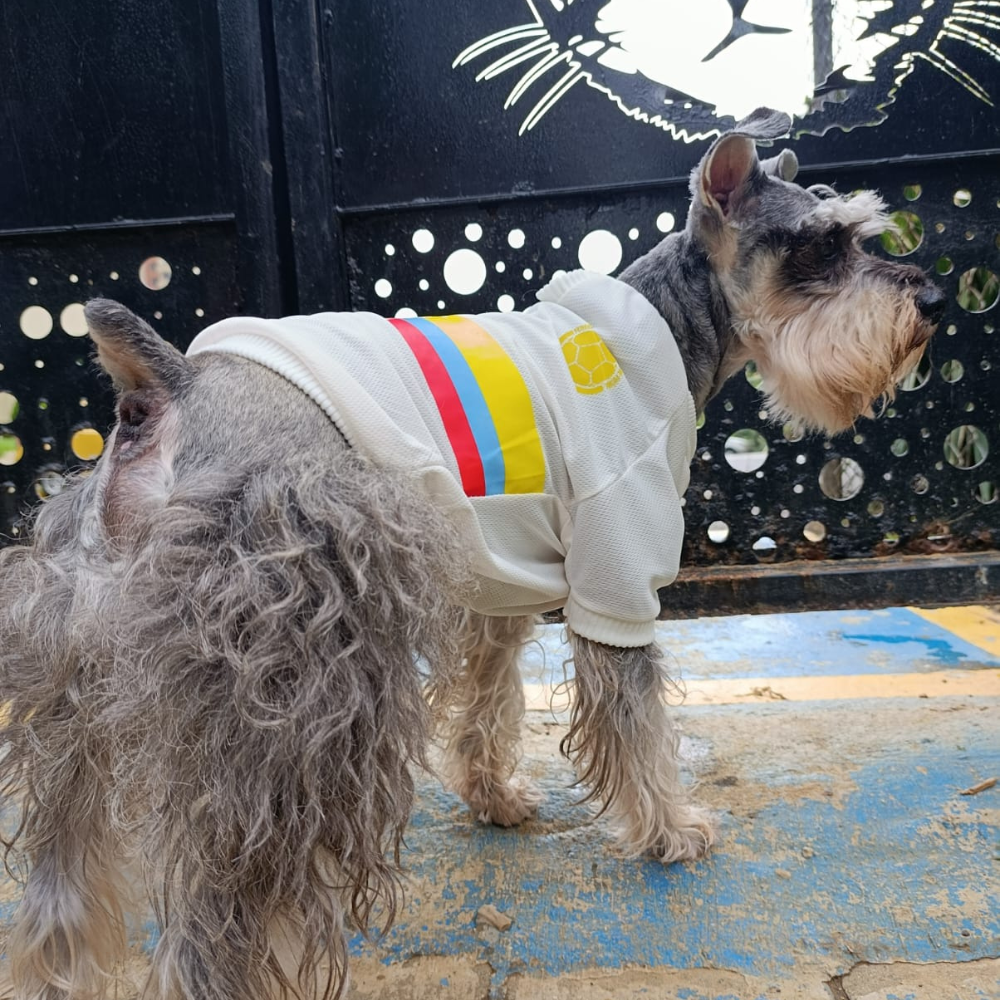 Camiseta Selección Colombia Centenario Perros Y Gatos Ropa Mascotas