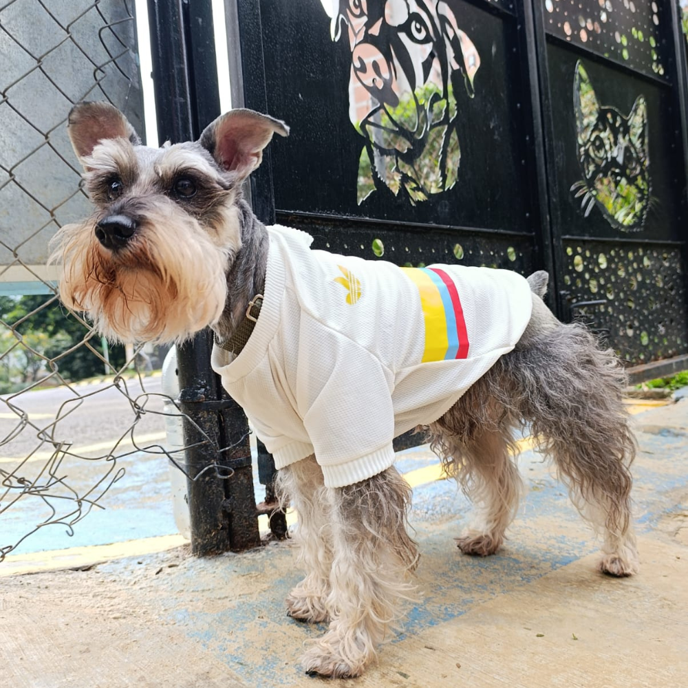 Camiseta Selección Colombia Centenario Perros Y Gatos Ropa Mascotas