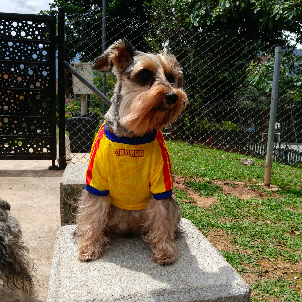 Camiseta Selección Colombia Perros Y Gatos Ropa Mascotas