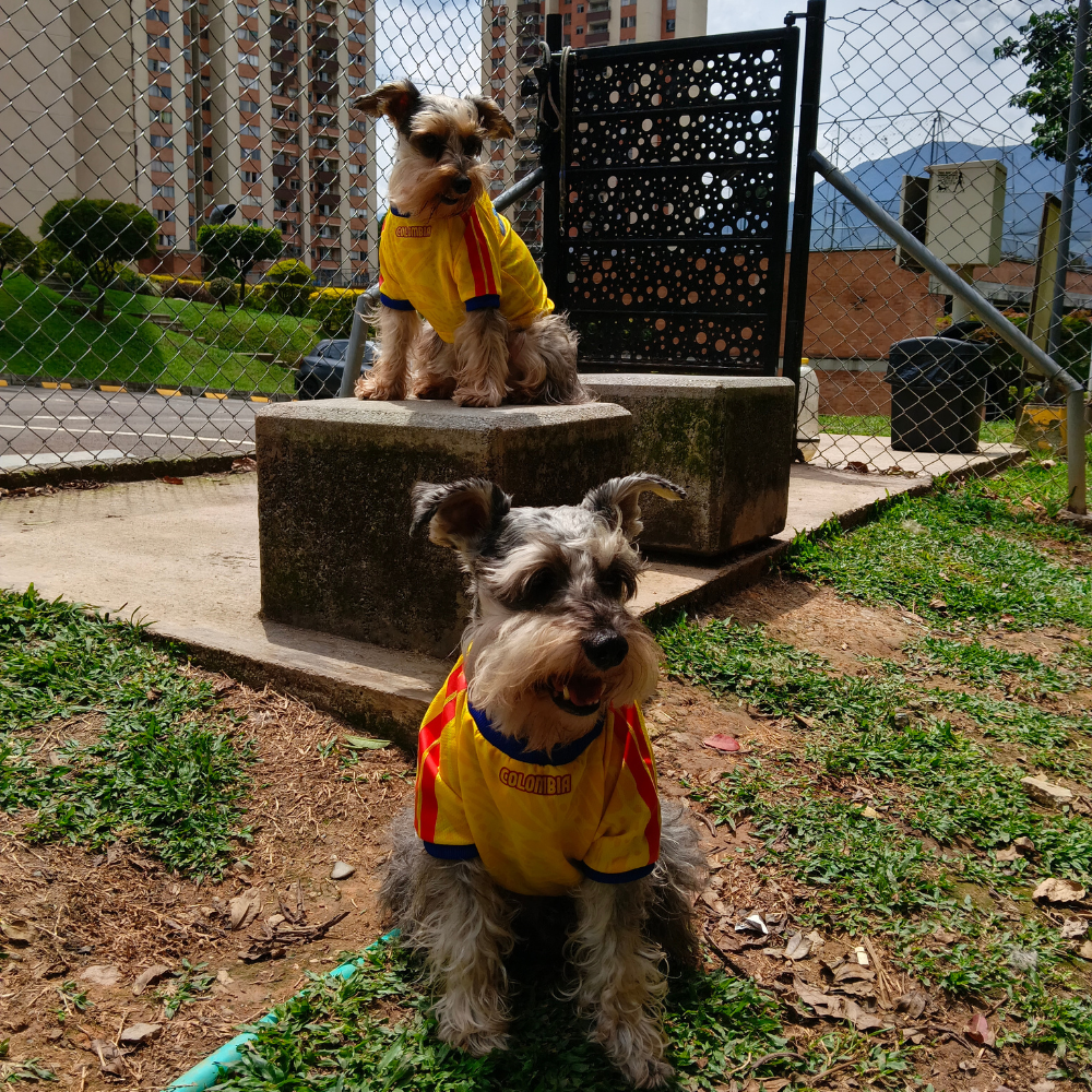 Camiseta Selección Colombia Perros Y Gatos Ropa Mascotas