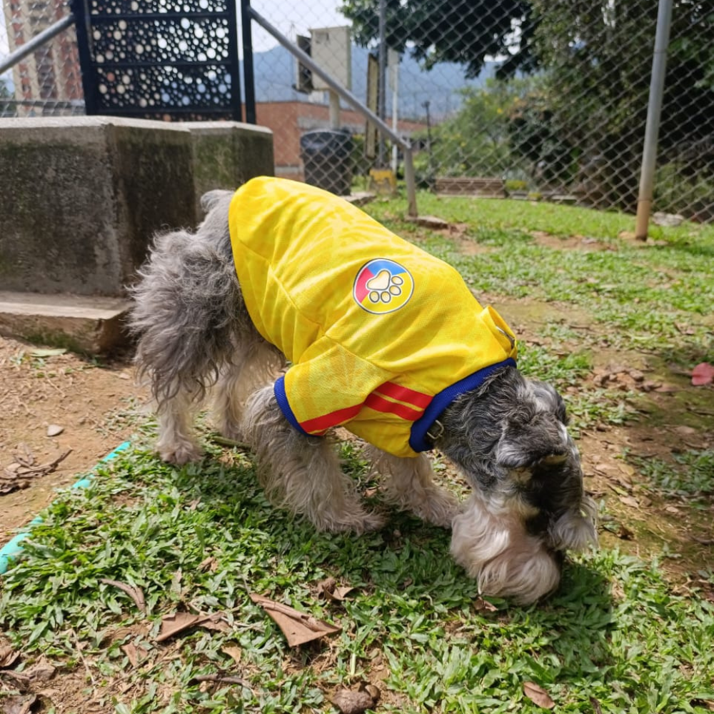Camiseta Selección Colombia Perros Y Gatos Ropa Mascotas