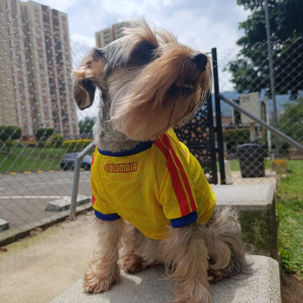 Camiseta Selección Colombia Perros Y Gatos Ropa Mascotas