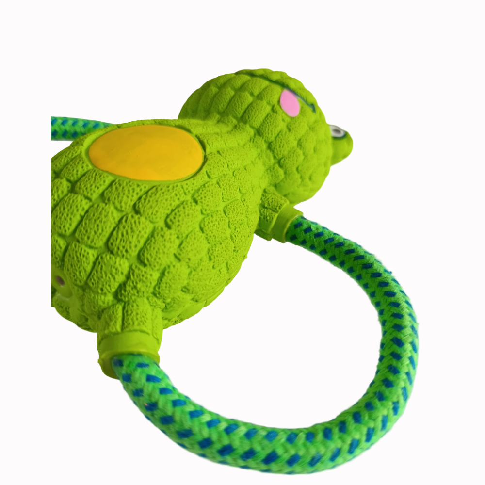 Juguete Interactivo Para Perros Tira Y Afloja Rana Kawaii