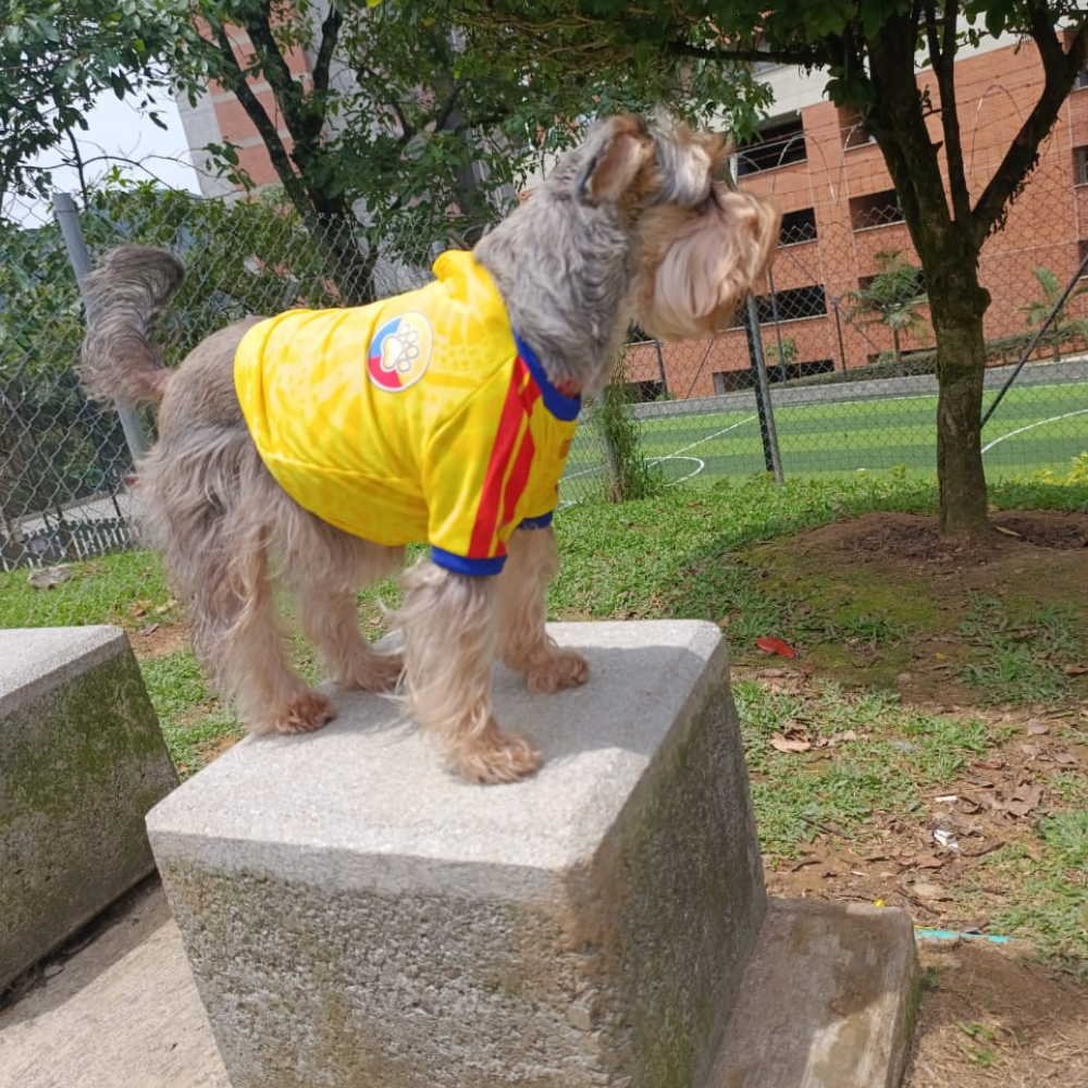 Camiseta Selección Colombia Perros Y Gatos Ropa Mascotas