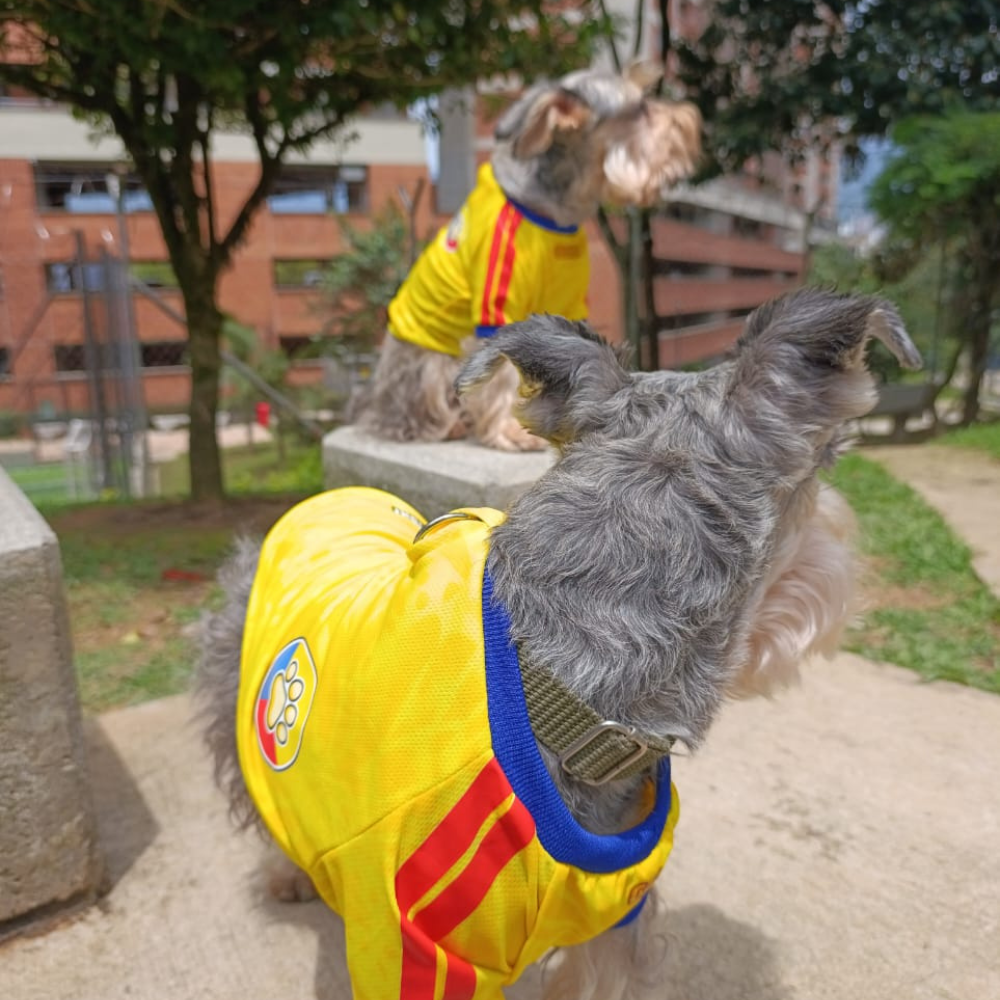 Camiseta Selección Colombia Perros Y Gatos Ropa Mascotas