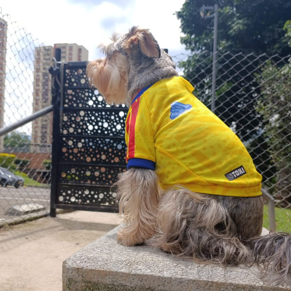 Camiseta Selección Colombia Perros Y Gatos Ropa Mascotas