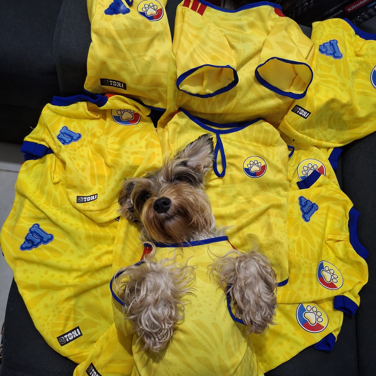 Camiseta Selección Colombia Perros Y Gatos Ropa Mascotas