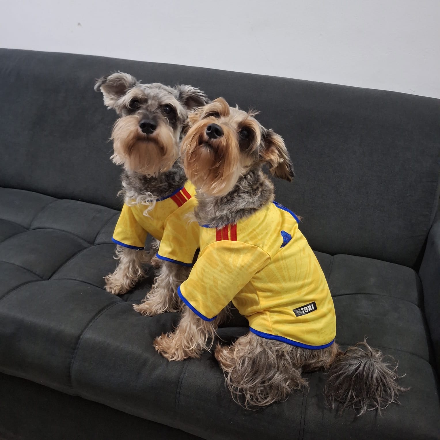 Camiseta Selección Colombia Perros Y Gatos Ropa Mascotas